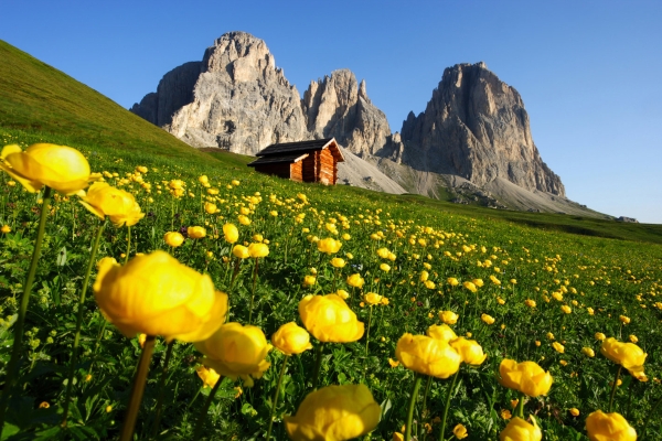 Hotel Ramon (Campitello di Fassa)